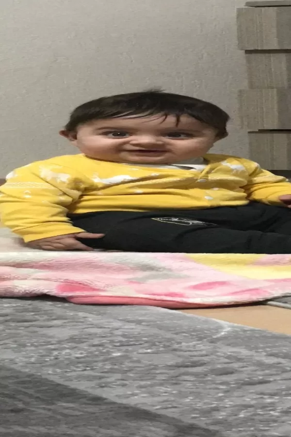 68454