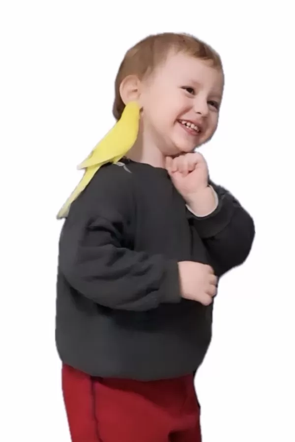 55082