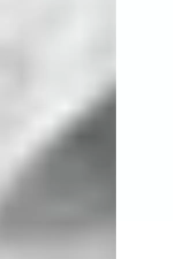 50104