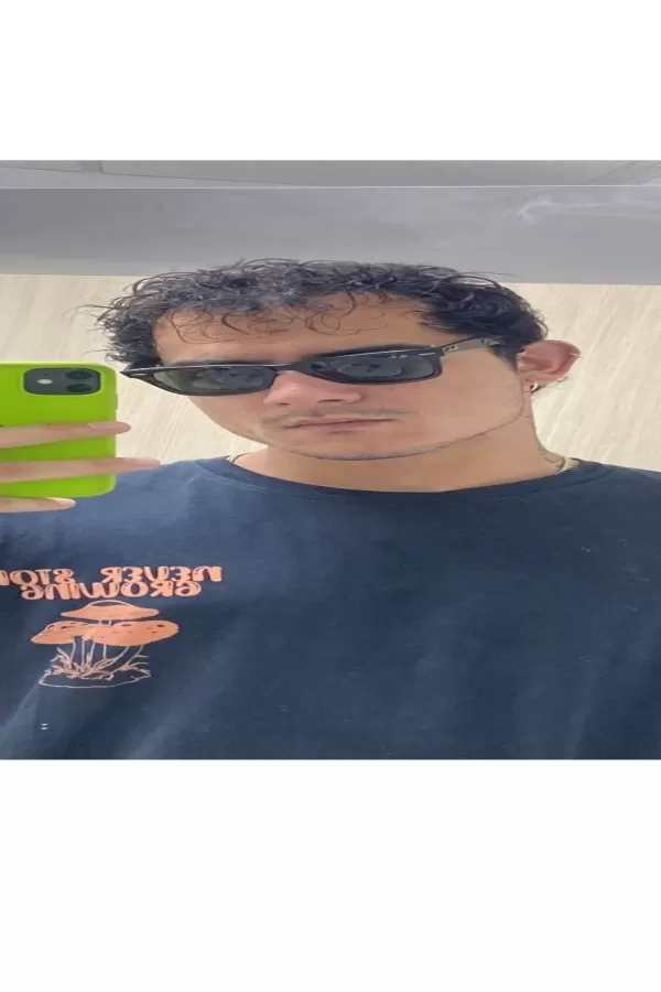 34067