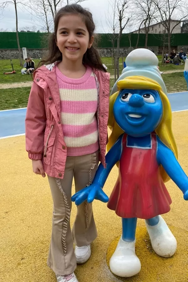29527