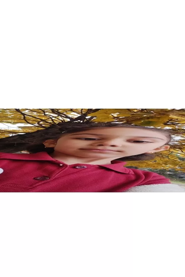 26063