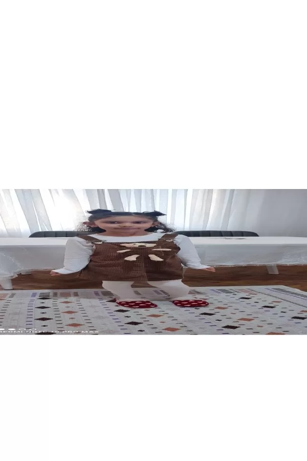 26063